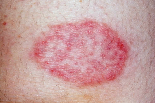 Untitled design (93)