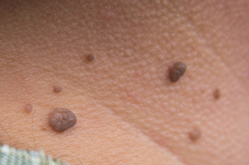 Untitled design (96)