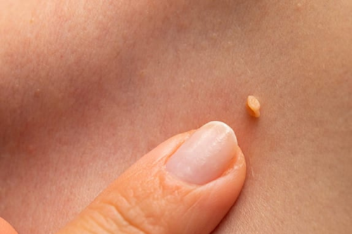 Untitled design (97)